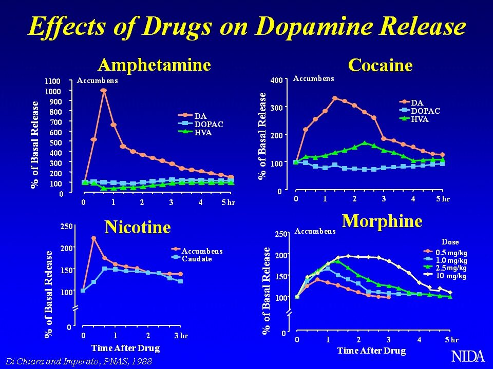 drugs-dopamine-1