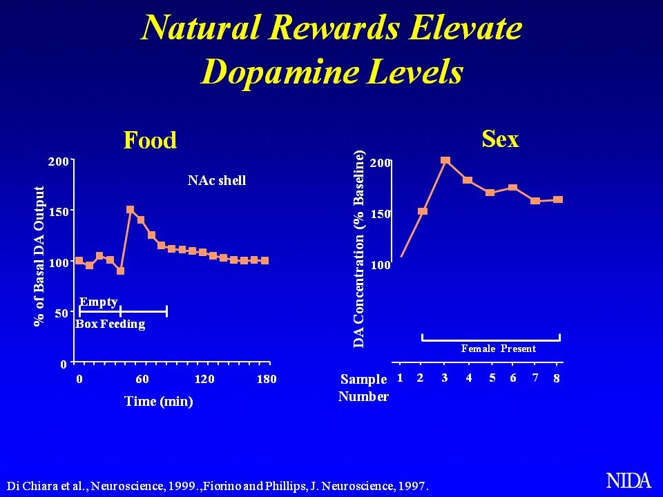 food-and-dopamine-1