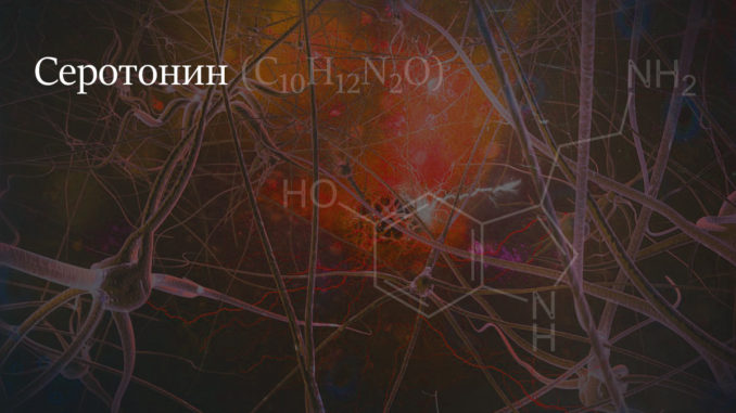 Серотонин Что такое серотонин?
